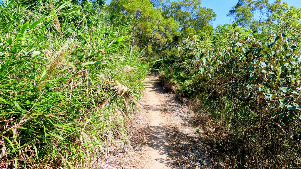 南化刣牛湖山_2987535