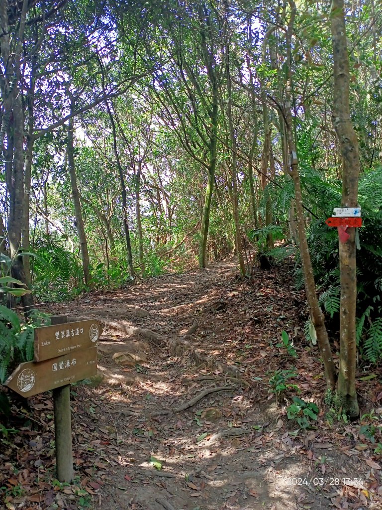 【臺北大縱走4】風櫃嘴→雙溪溝古道→五指山古道→大崙頭山北面步道→許願步道→圓覺寺步道→大溝溪→大湖_2469094