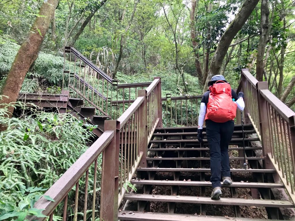 清水岩十八彎走橫山_352978