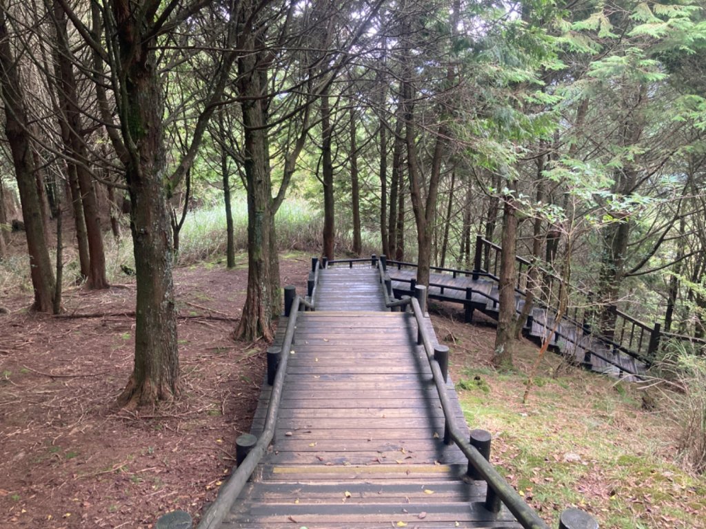 雲霧步道_2316064
