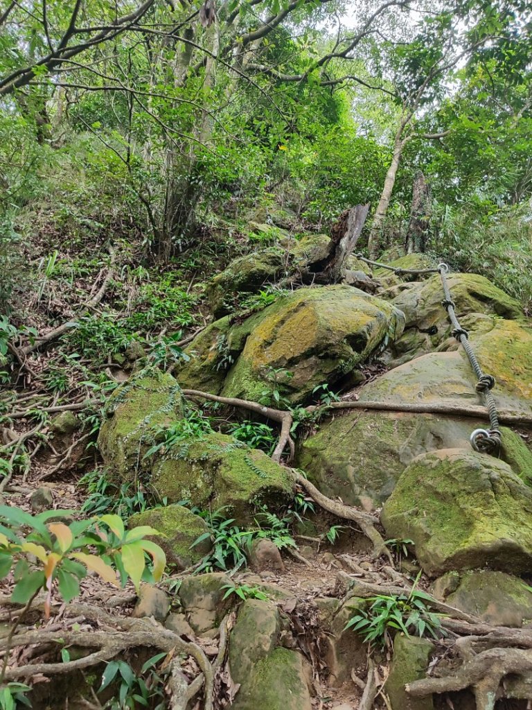 微笑山線之望月亭段_2849022