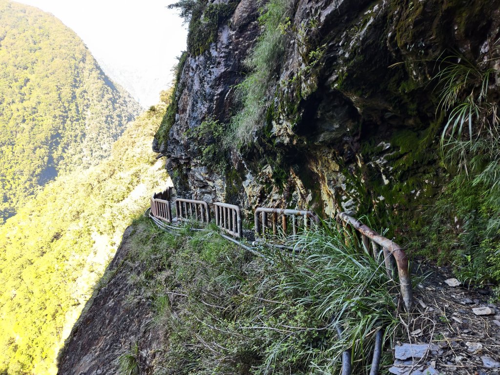 [玉山尋寶任務-07/12] 2025_0824 八通關雲龍瀑布步道_2870673