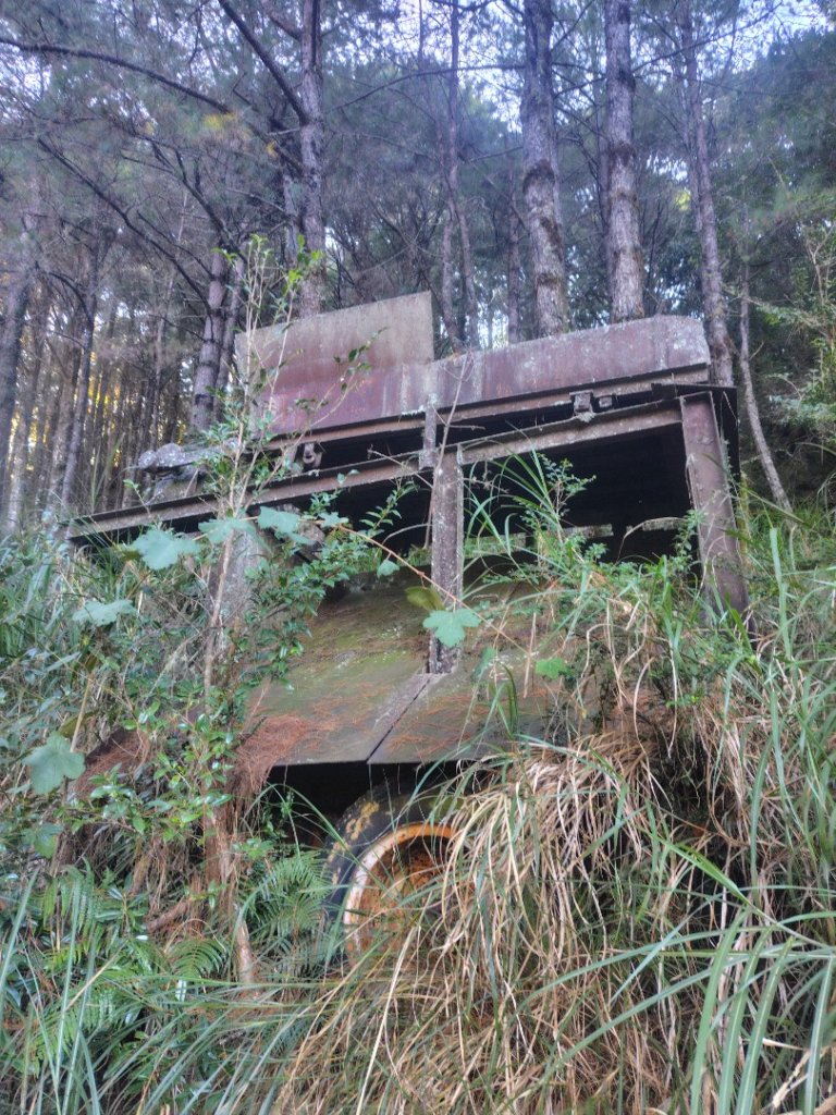 大雪山森林遊樂區 遊客中心 小神木 北三錐山 平石山西北峰_2952972