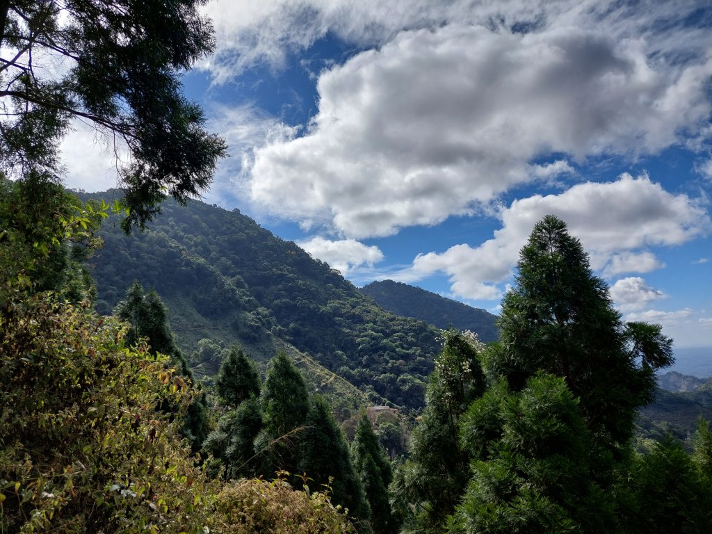 20230114梅峰古道→伍龍步道_2019796