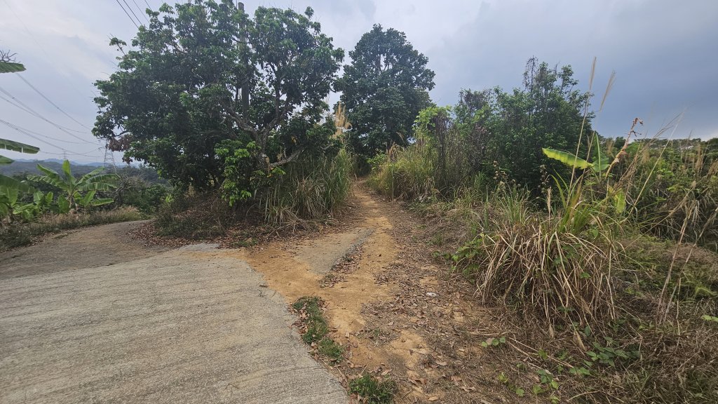 台中大縱走車籠山 淨德山 阿罩霧山_2468107