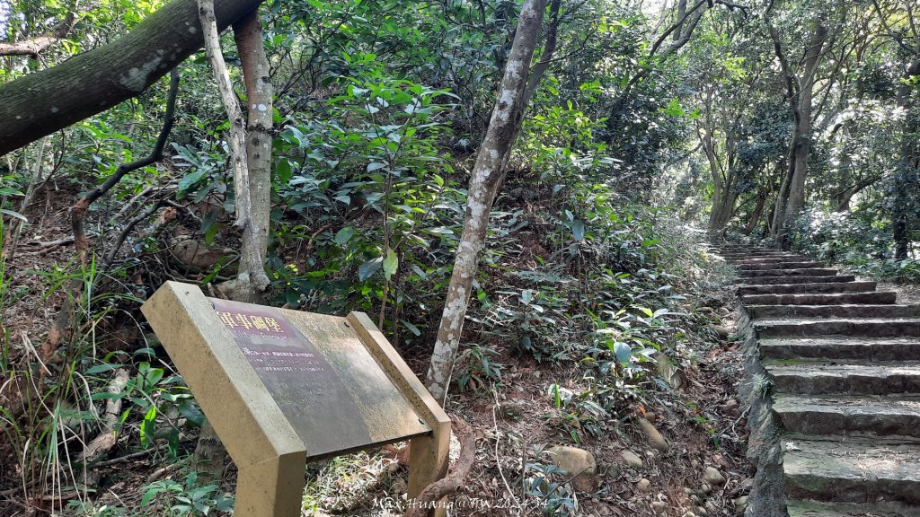 《新竹》湖口老街｜金獅古道O繞茶香及仁和步道20241206_2663755