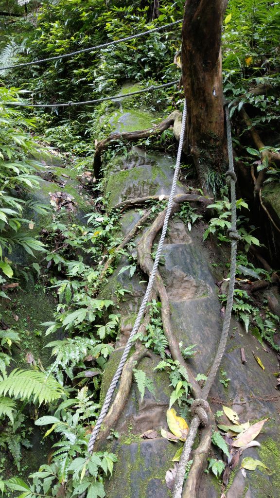 石牛山之溪_399717