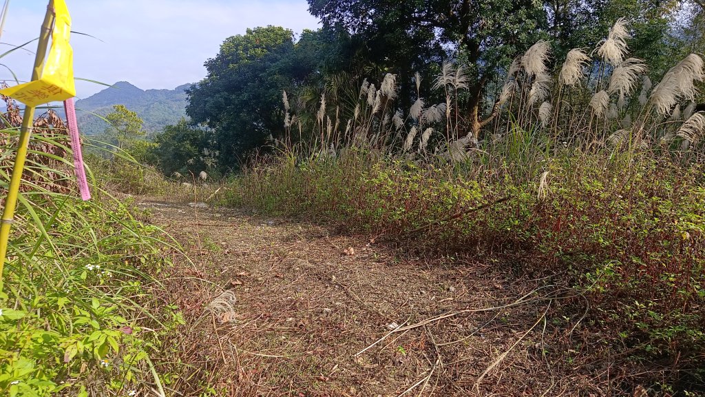 (姨婆趴趴走)第四十六集:新竹關西赤柯山及南峰、東西獅頭山、馬福山環狀縱走_2685813