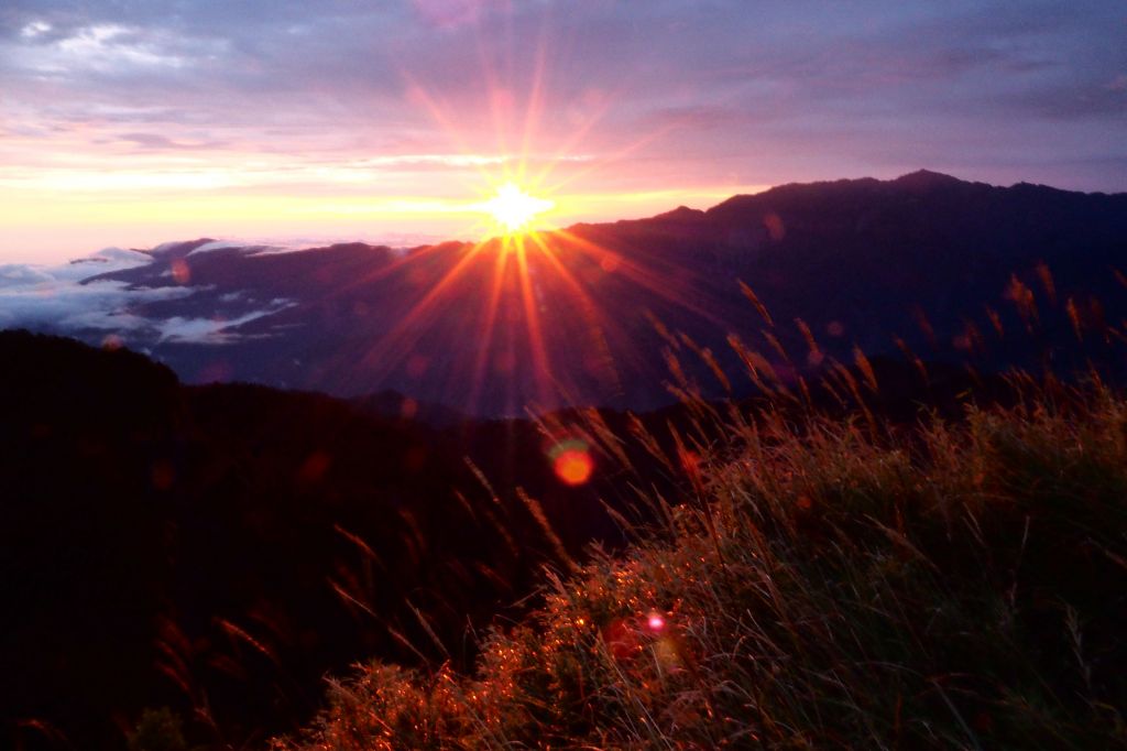 桃山獨走初秋_175086