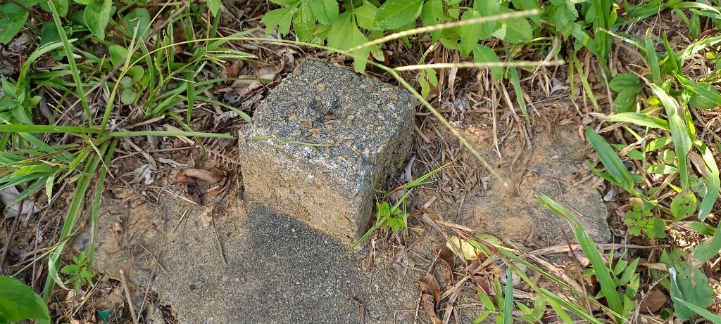 20230929_槓子寮山+砲台步道_2300832