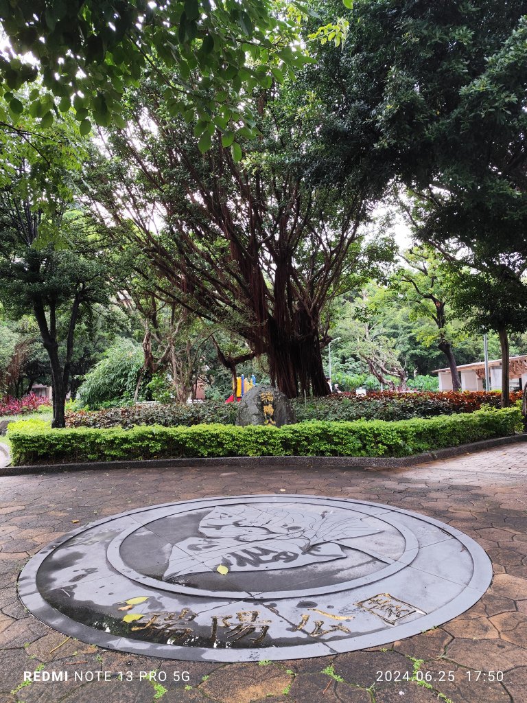 大安森林公園【走路趣尋寶】；大港墘公園、瑞陽公園【臺北健走趣】_2535215