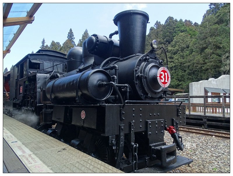 阿里山/木棧步道_686858