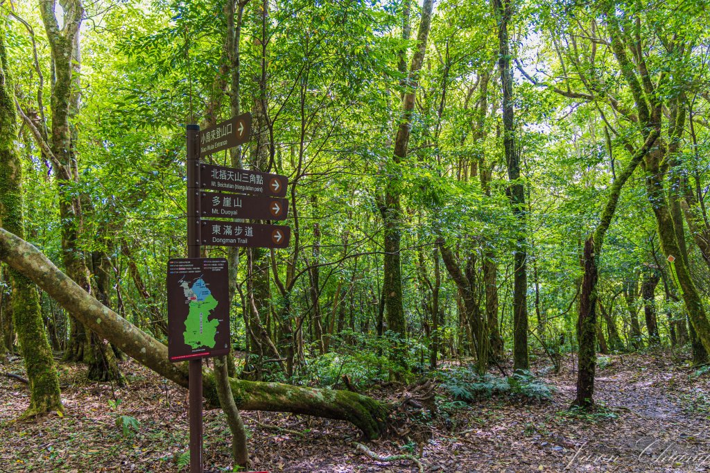 [桃園]北插天山磨練之旅_2532900