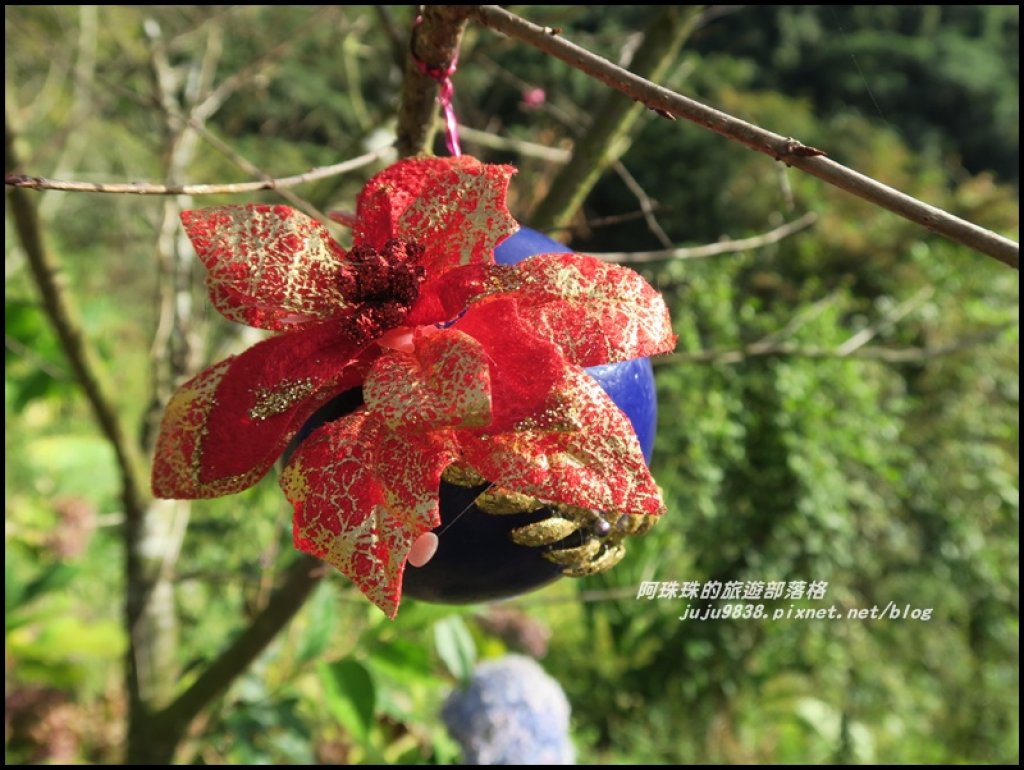 沐心泉冬季限定白雪木與黃金楓的浪漫相遇_481850