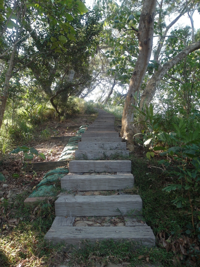 彰化桃源里步道~坑仔內山~八卦禪寺_92329