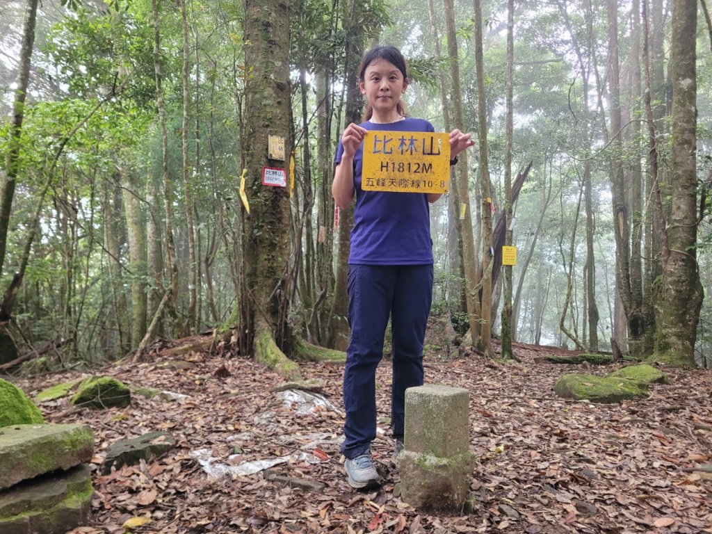 20230702 鵝比鳥大(鵝公髻山、鳥嘴山、大窩山、比林山)_2210421