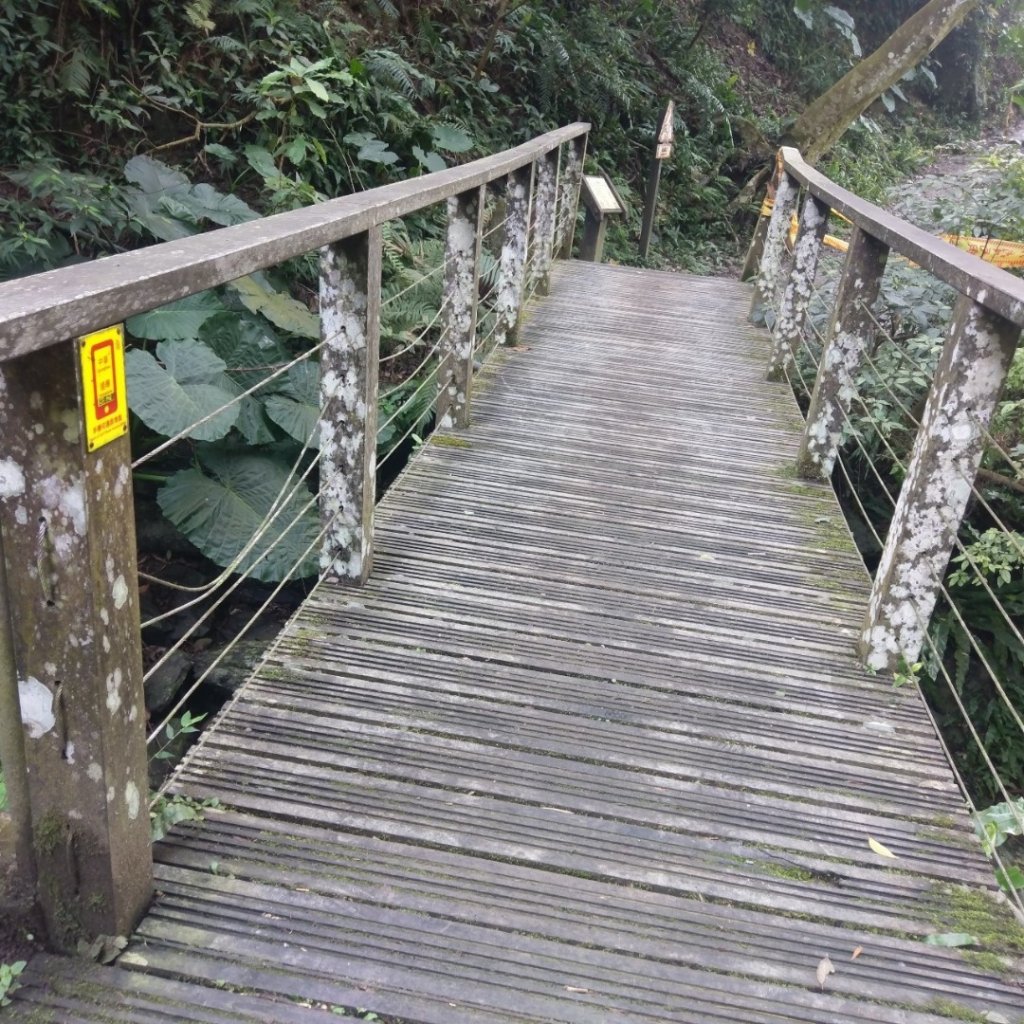 步道巡訪員│跑馬古道 第3巡 通訊點_870262