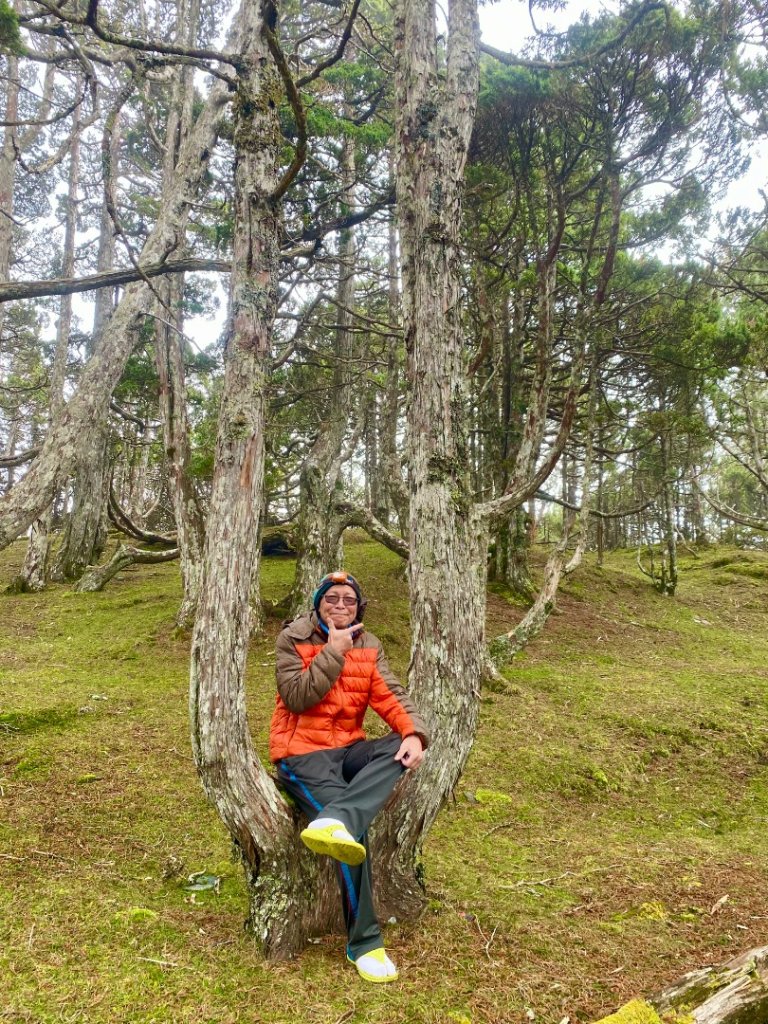 啟動高山度假模式~金牌三小隊之馬博橫斷8日_2964966