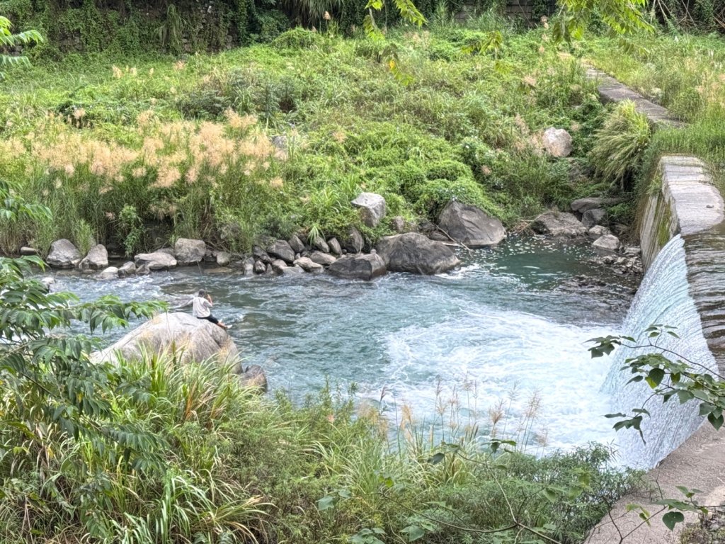 清泉 雪霸農場 野馬瞰山_2925854