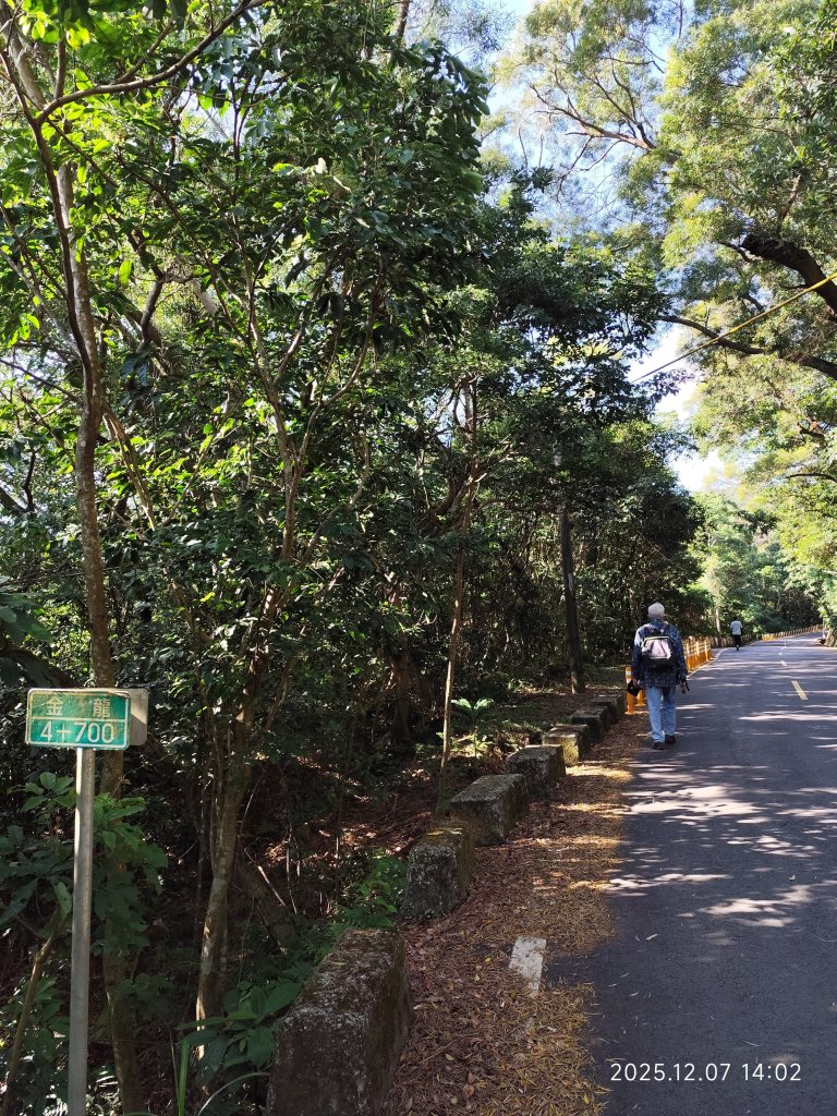 【臺北大縱走 5】碧山巖→忠勇山越嶺步道→金龍產業道路→圓明寺步道→鄭成功廟→潛園→格物台→劍潭古寺_2958973