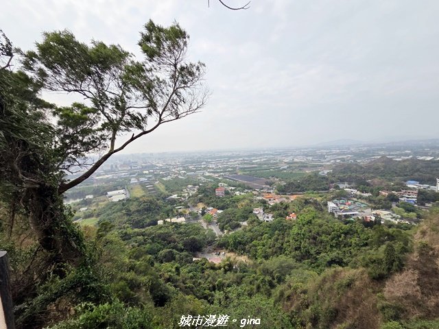 【高雄大社】小百岳大社觀音山步道封面圖