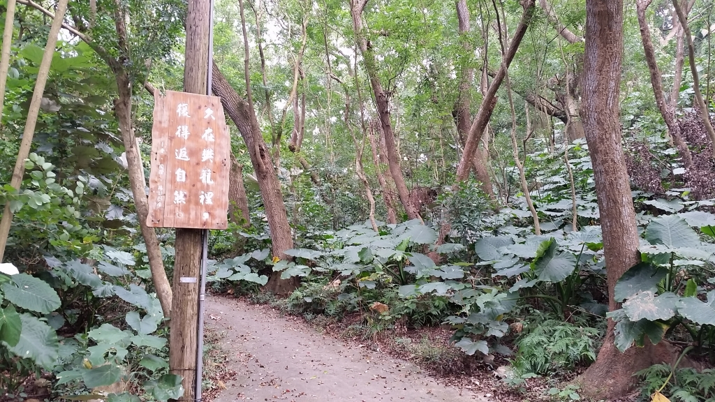 彰化縣田中鎮-田中森林登山步道_89967