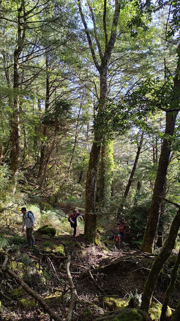 觀雪縱走_2918129