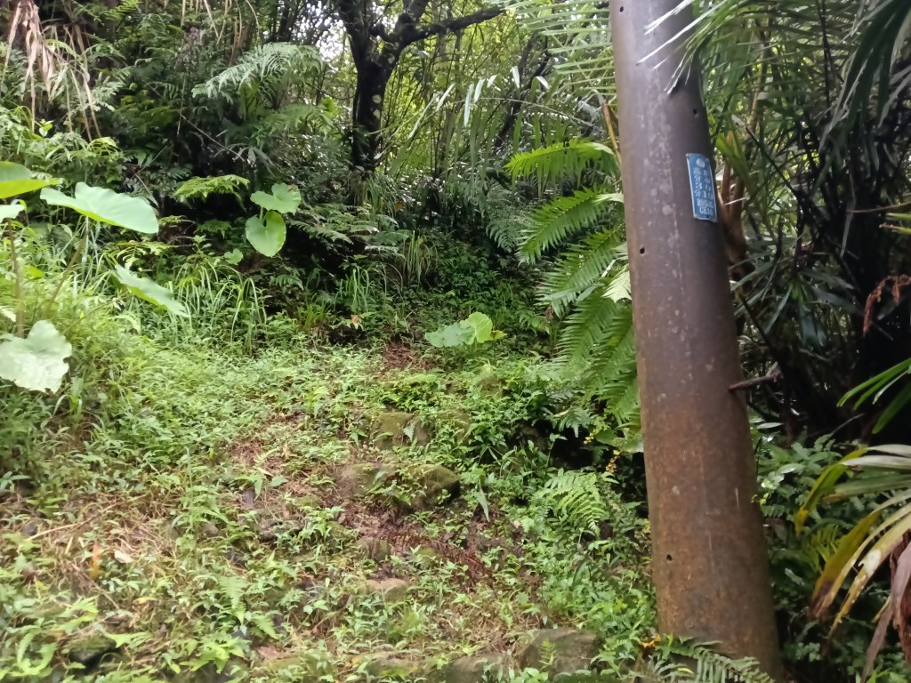 平溪區善覺寺古道(步道)去回_2855390