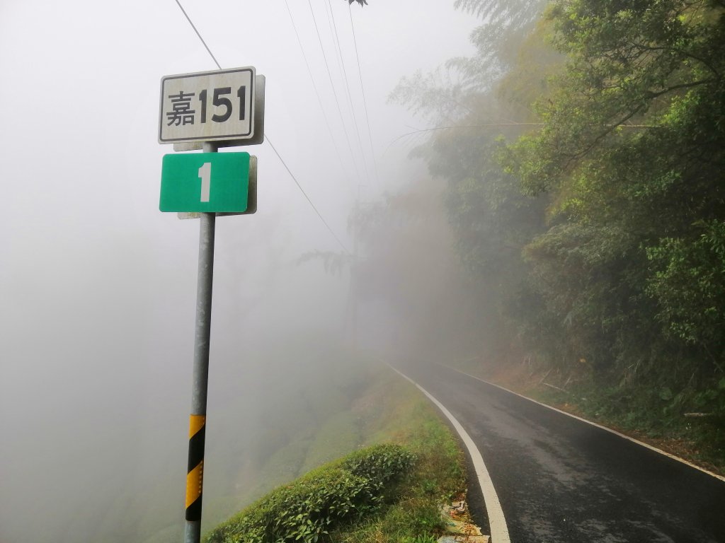 拾階而上的茶園風光。嘜走嘜走步道_755149