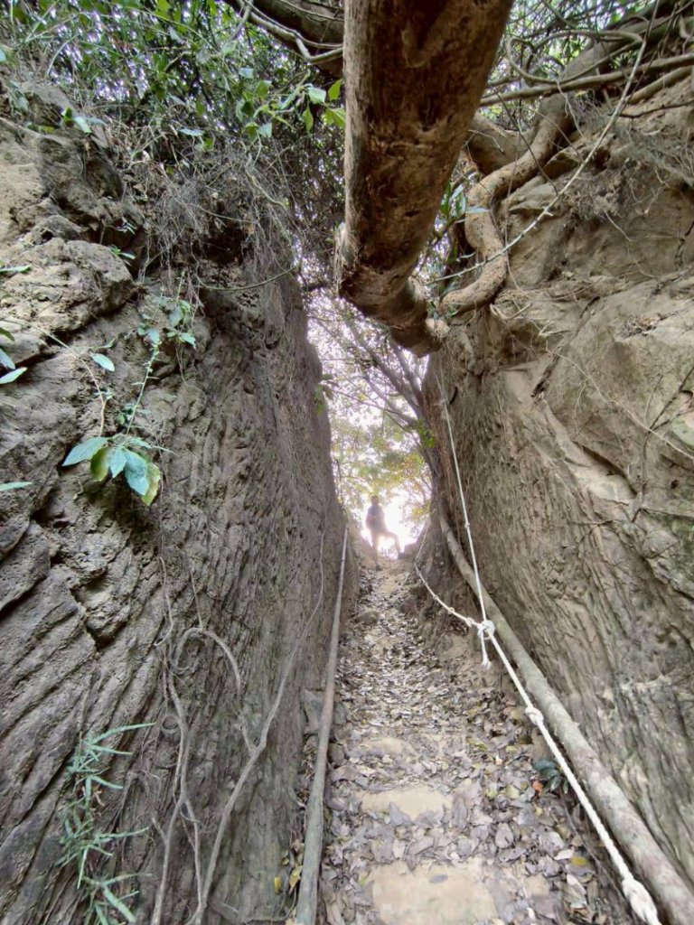 20251213 高雄觀音山15連峰🤔一直走不回頭繞_2961527