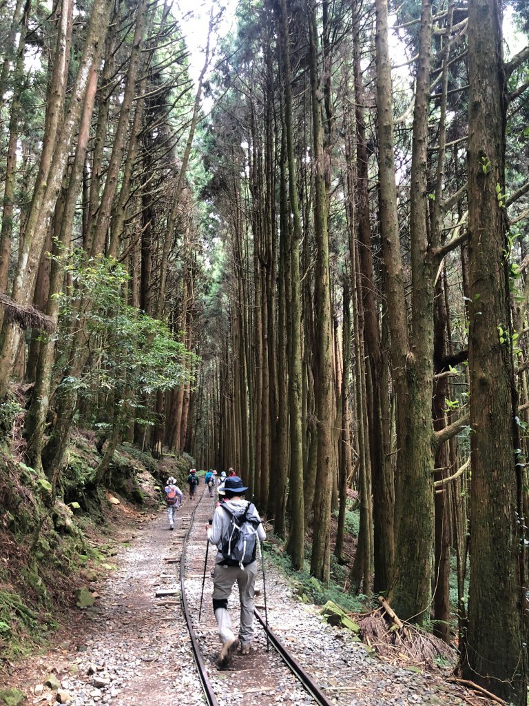 特富野古道封面圖