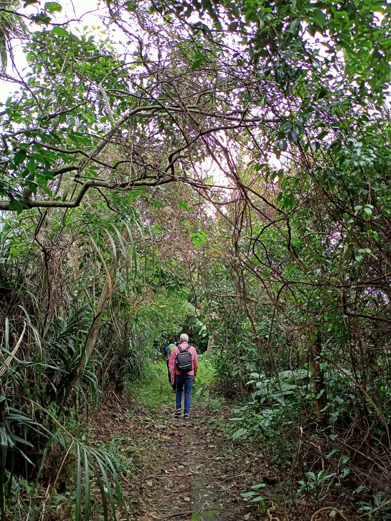【小百岳集起來】 #007 基隆紅淡山 H210m, 三等三角點 #1024_1634302