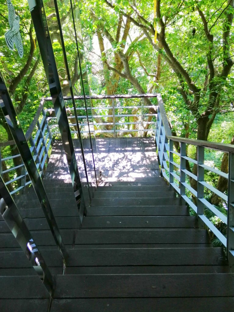 山系野遊~新北五股~步道悠閒走~林梢步道_1147070