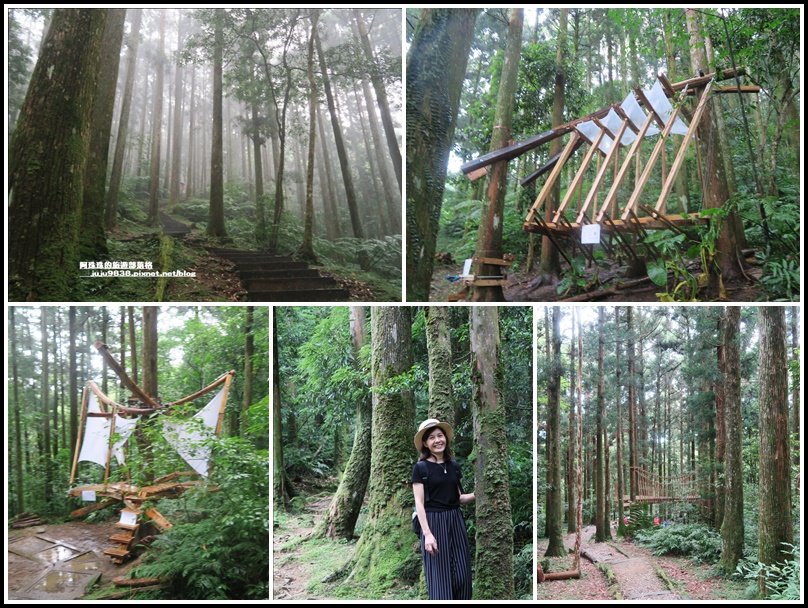 東眼山打卡新亮點森林裡的木構裝置藝術_1021829