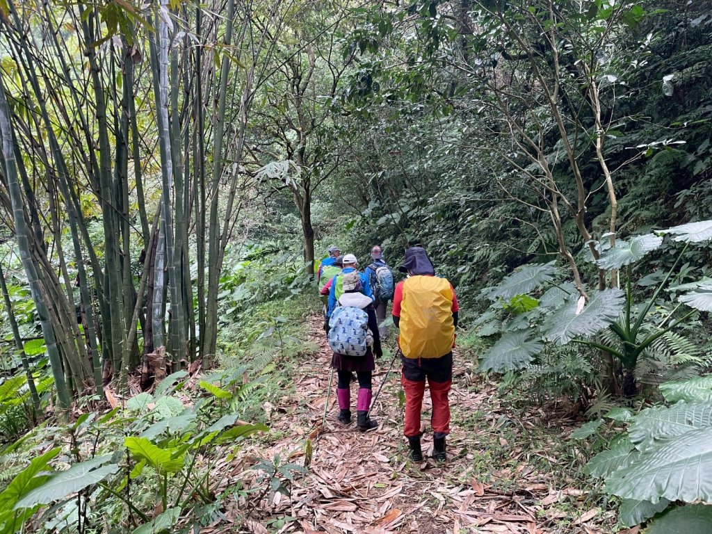 鳳鳴-龜山-鶯歌六連峰縱走/樹林大凍山-鶯歌蛋石山-鶯歌陶瓷博物館_2979006