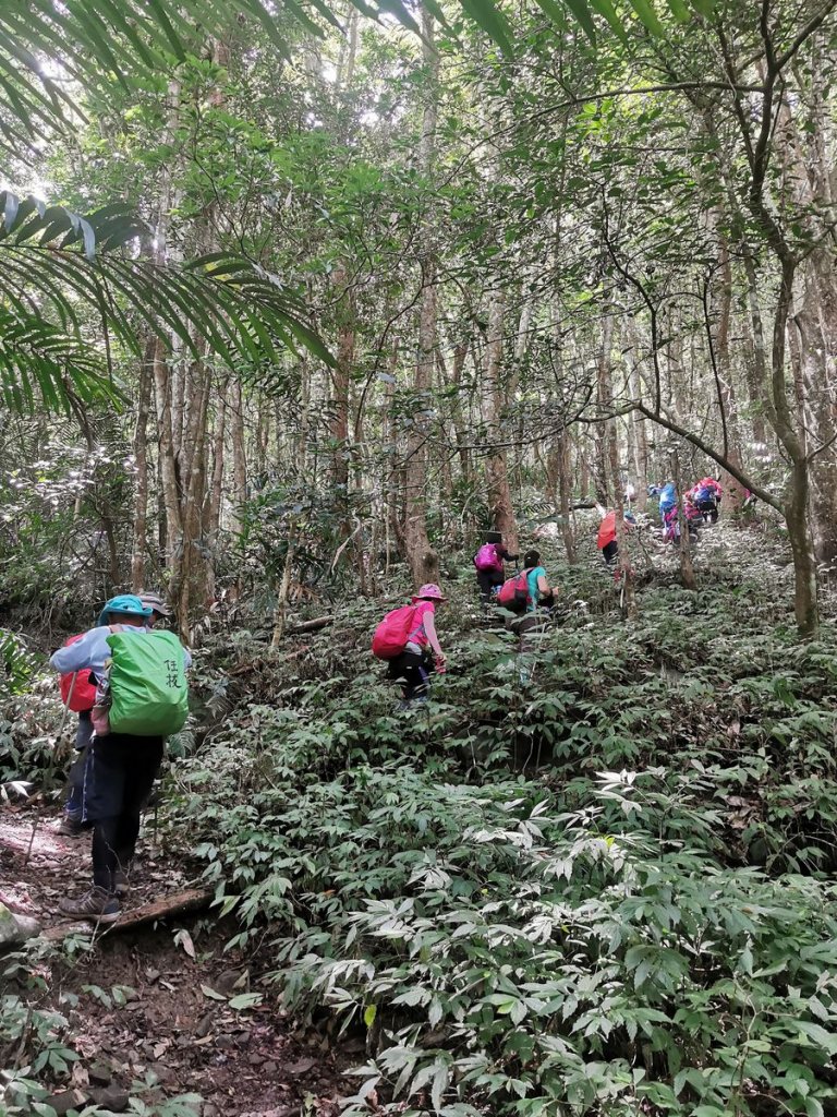 步道巡訪員 l 鳥嘴山步道 8月巡訪日誌_1062372