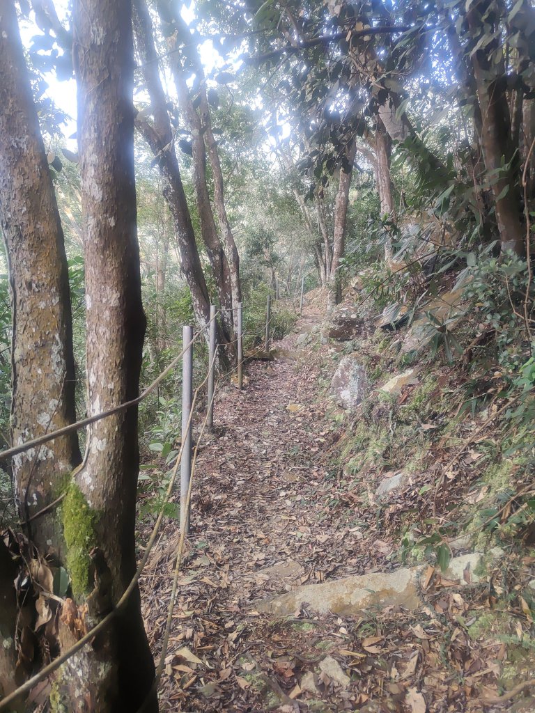 惠蓀湯公啤&小嵐_2697829