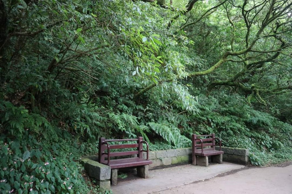 〔陽明山 〕面天山 向天山 向天池 二子坪步道。火山口湖 獨特生物蚌蟲 向天蝦（豐年蝦）_2235352