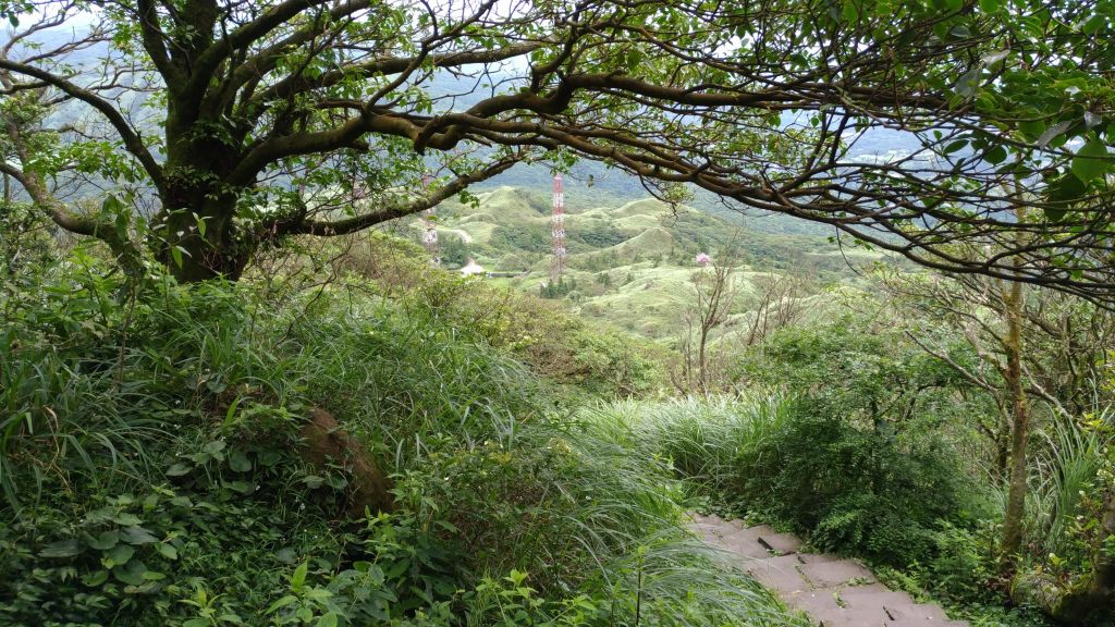 天晴風強!七星山主峰空蕩蕩!_137982