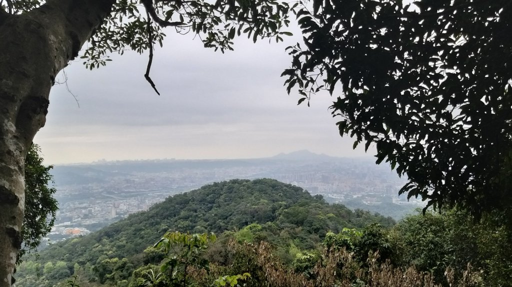 天上山步道封面圖