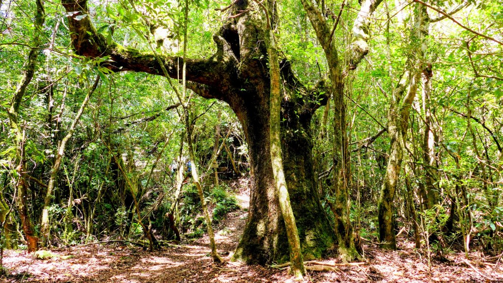 李棟山莊_2882509