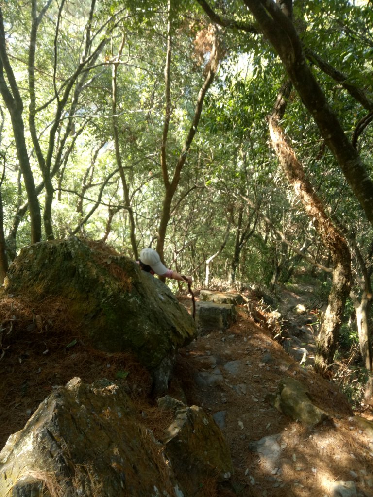 谷關七雄之馬崙山_1934291