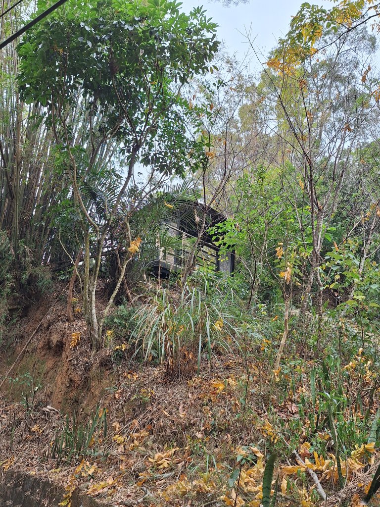 三段崎古道20240122封面圖