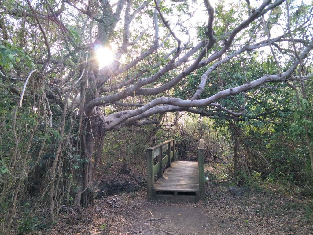 屏東百大：龜山步道_1343875