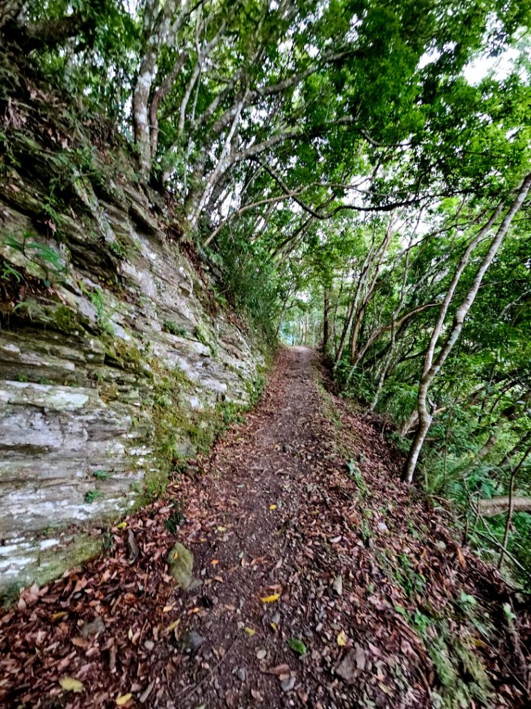 瓦拉米步道(登山口至佳心段)-(花蓮)臺灣百大必訪步道_2789415