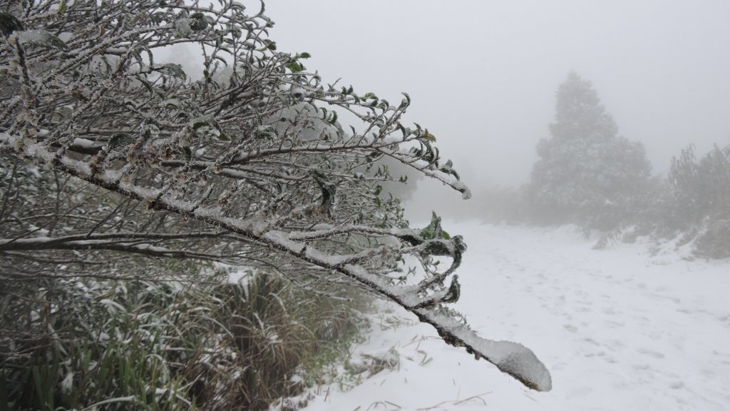 台北後花園下雪了 ！_1232114