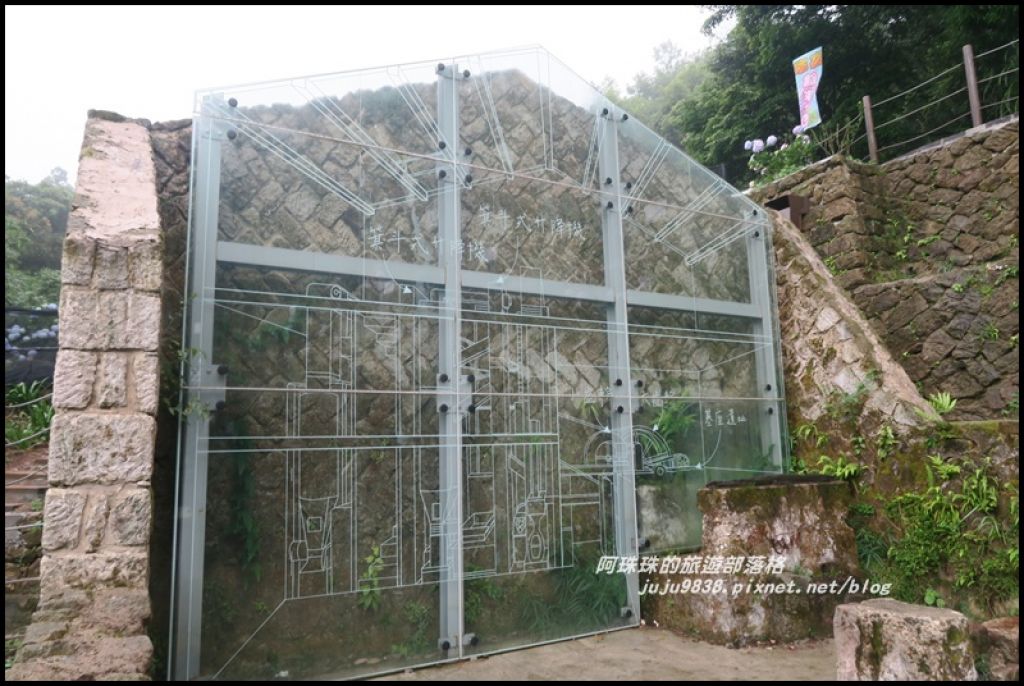 竹子湖水車寮步道賞高家繡球花_347956