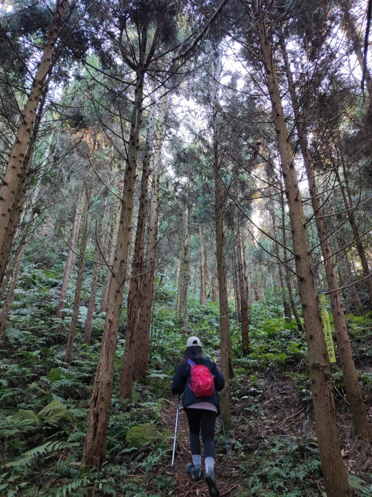 2024.02.01 凌空廊道登煤源山_2844016