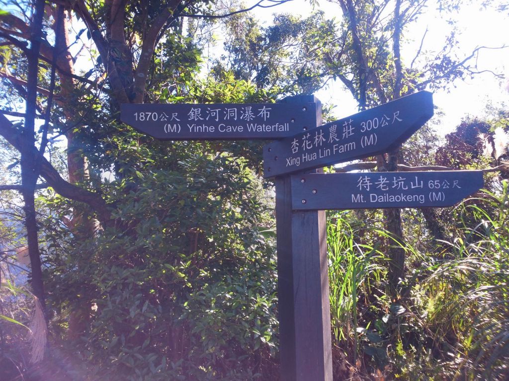 105.12.31政大後門→樟山寺→樟湖步道_197624