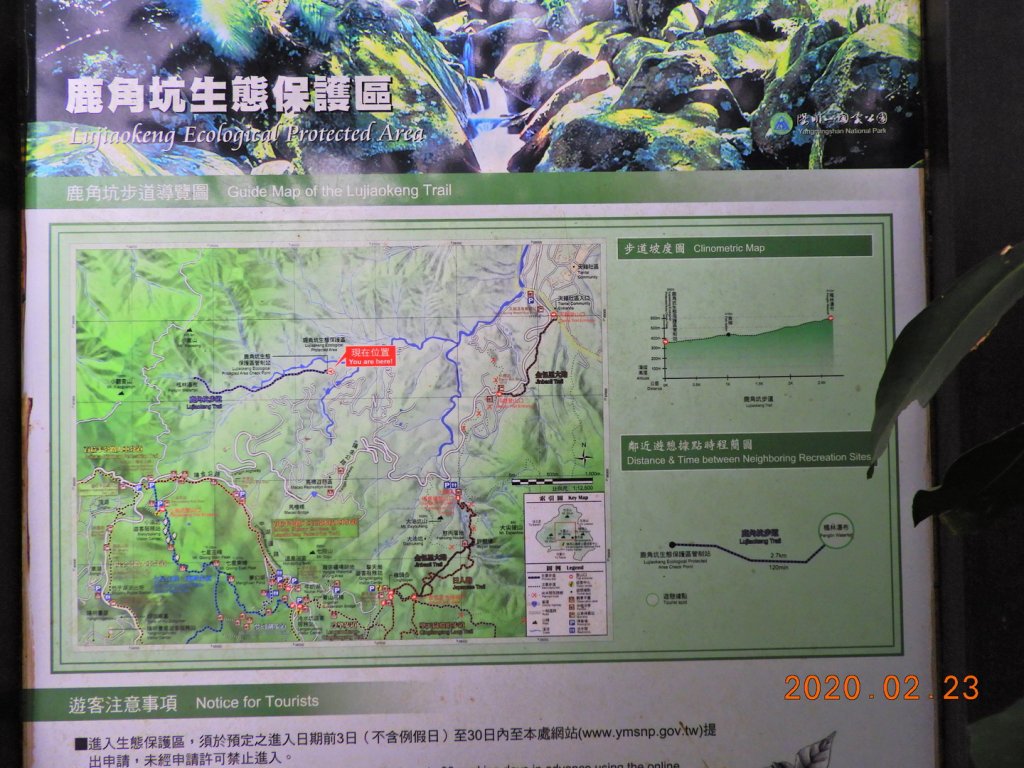 台北 士林 鹿角坑步道封面圖